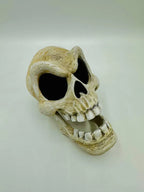 Murray Skull — original product view 1