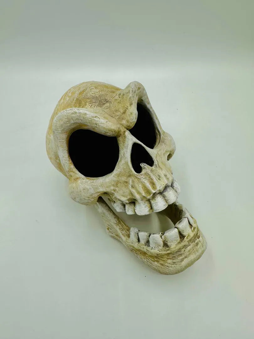 Murray Skull — original product view 1