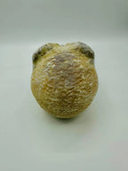 Murray Skull — original product view 3