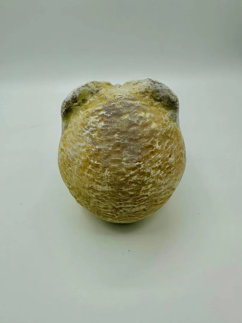 Murray Skull — original product view 3