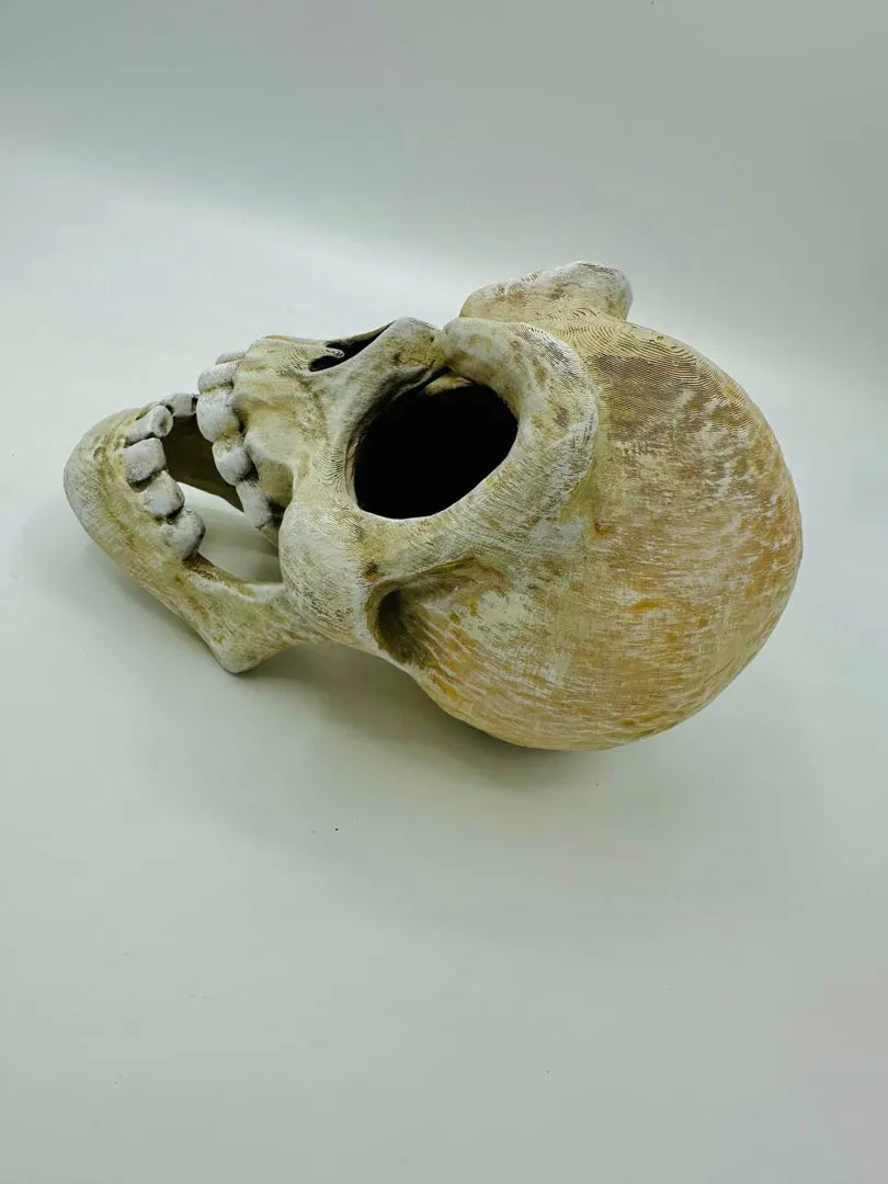 Murray Skull — original product view 4