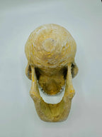 Murray Skull — original product view 5
