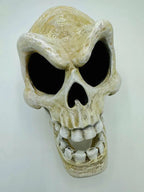 Murray Skull — original product view 7