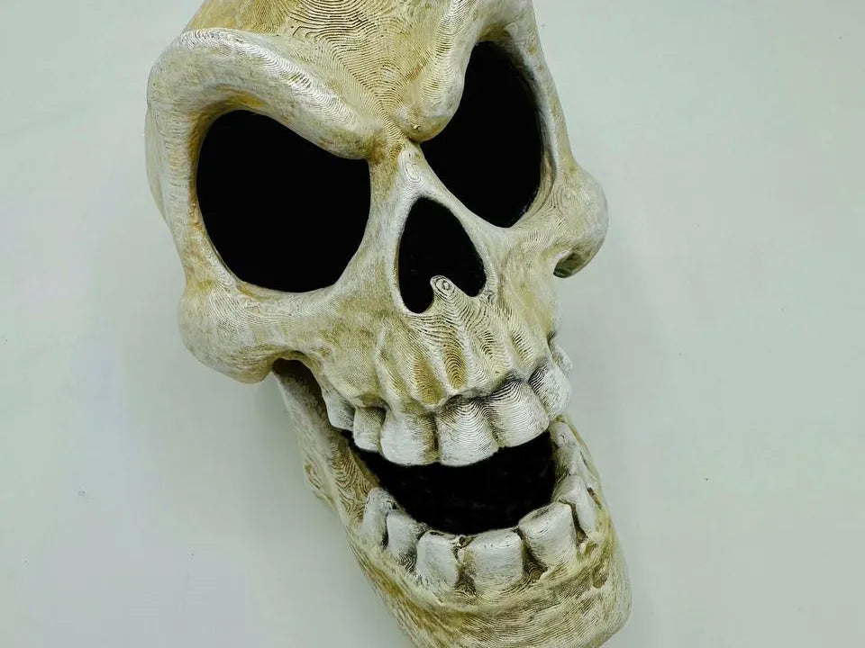 Murray Skull — designer’s full-object example