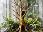 Old Dead Tree B – licensed designer photograph 1