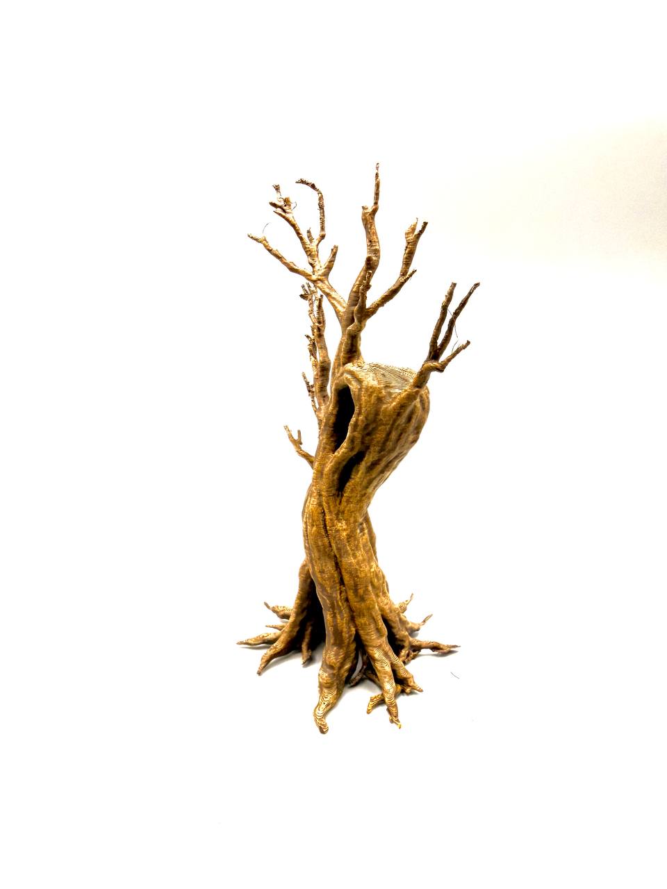 Old Dead Tree B – licensed designer photograph 3