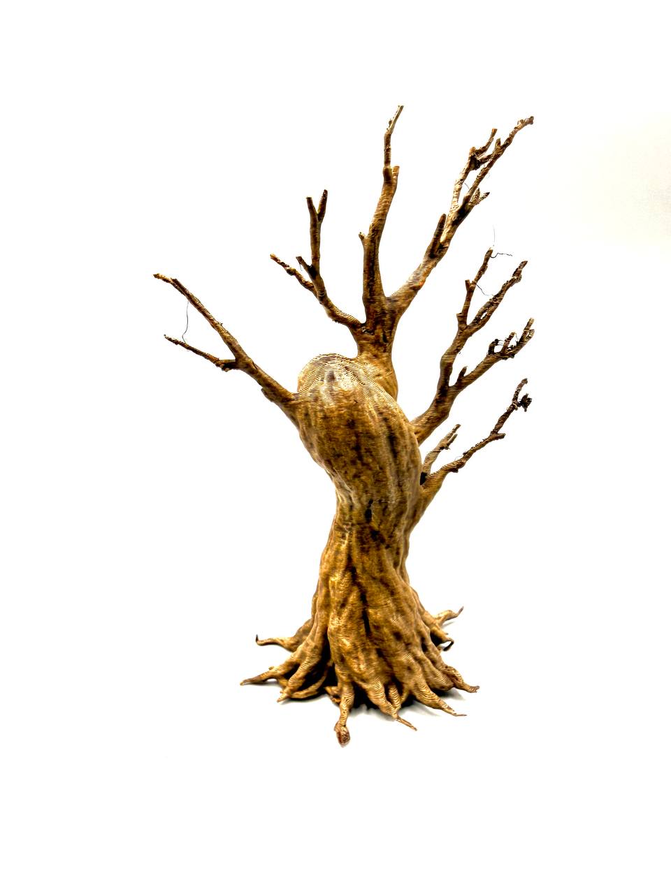 Old Dead Tree B – licensed designer photograph 4