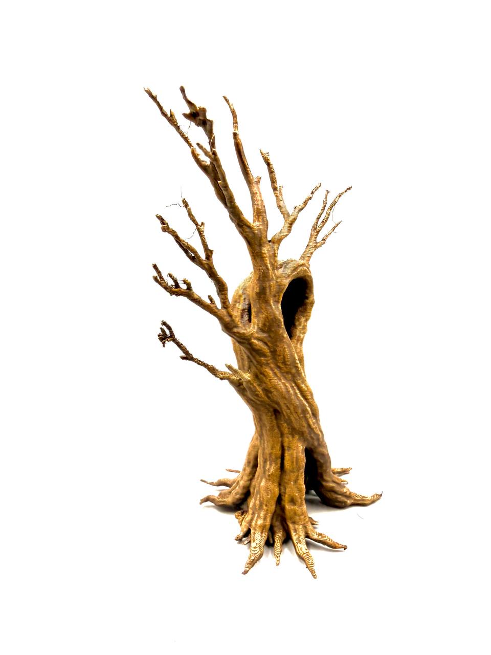 Old Dead Tree B – licensed designer photograph 5