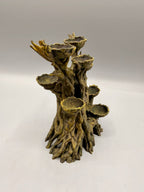 Old Moss Tree — designer reference view