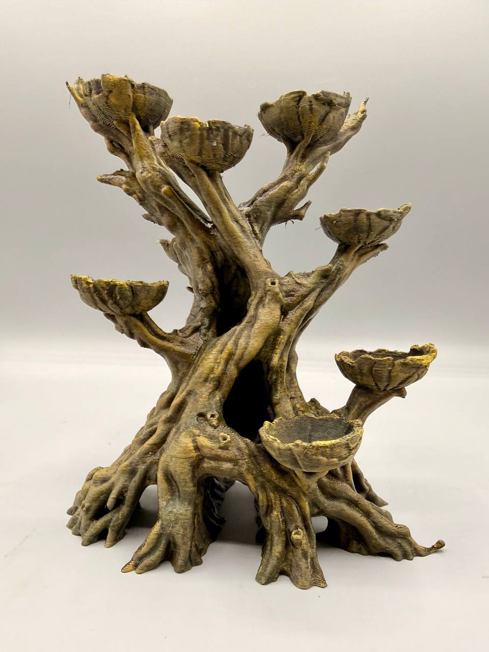 Old Moss Tree — designer reference view