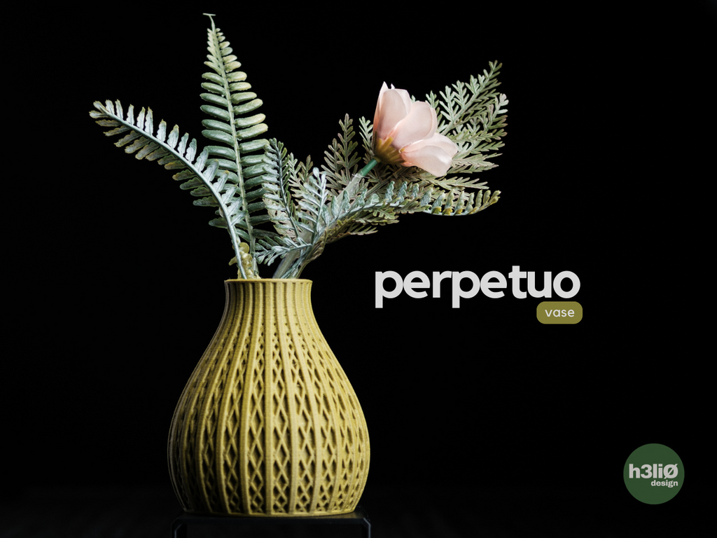 Perpetuo vase – cover