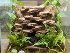 Pile of Rocks Background — designer reference view