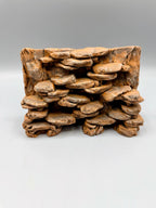 Pile of Rocks Background — designer reference view