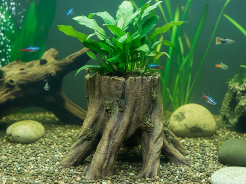 Planter Hide — designer reference view