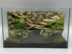 Rainforest Background — designer reference view