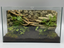 Rainforest Background — designer reference view