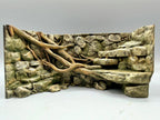Rainforest Background — designer reference view