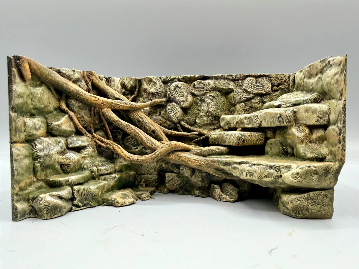 Rainforest Background — designer reference view