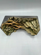 Rainforest Background — designer reference view