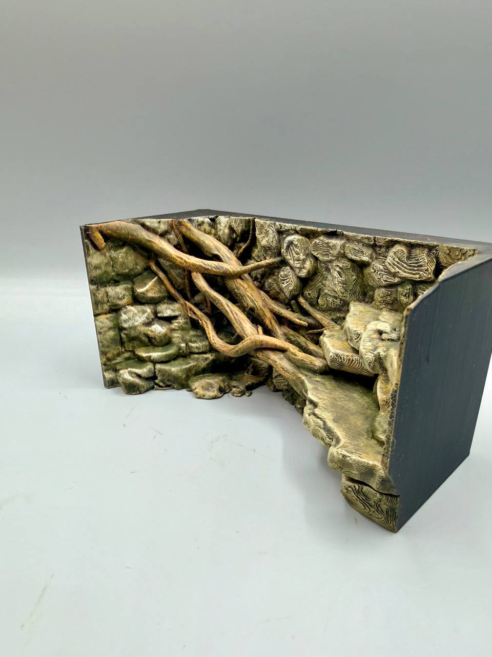 Rainforest Background — designer reference view