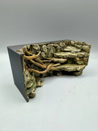 Rainforest Background — designer reference view