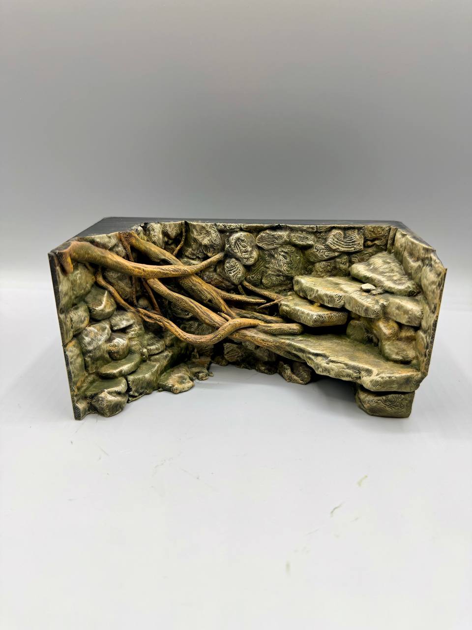 Rainforest Background — designer reference view