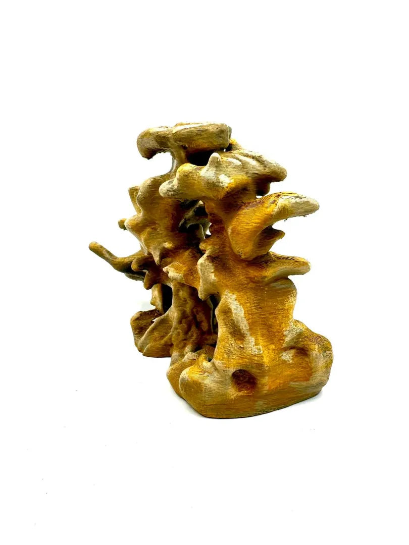 Reef Rock — original designer photograph; supplied unpainted in your selected PETG colour