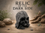 Relic of the Dark Side – cover