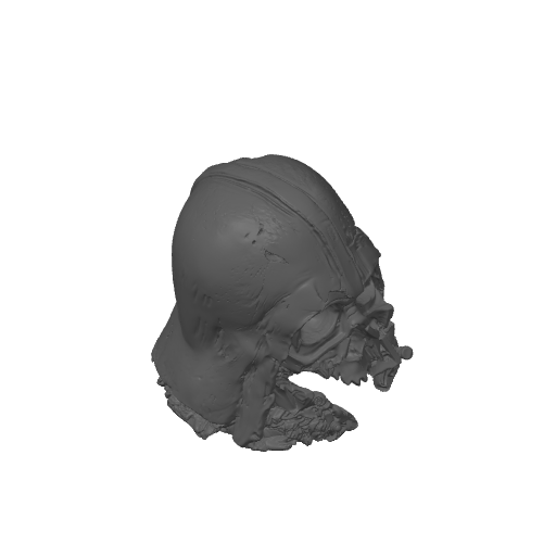 Relic of the Dark Side – plate 3
