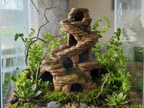 Rock Tower With Caves — designer reference view