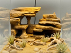 Rocky Savannah terrarium background — designer photo 1