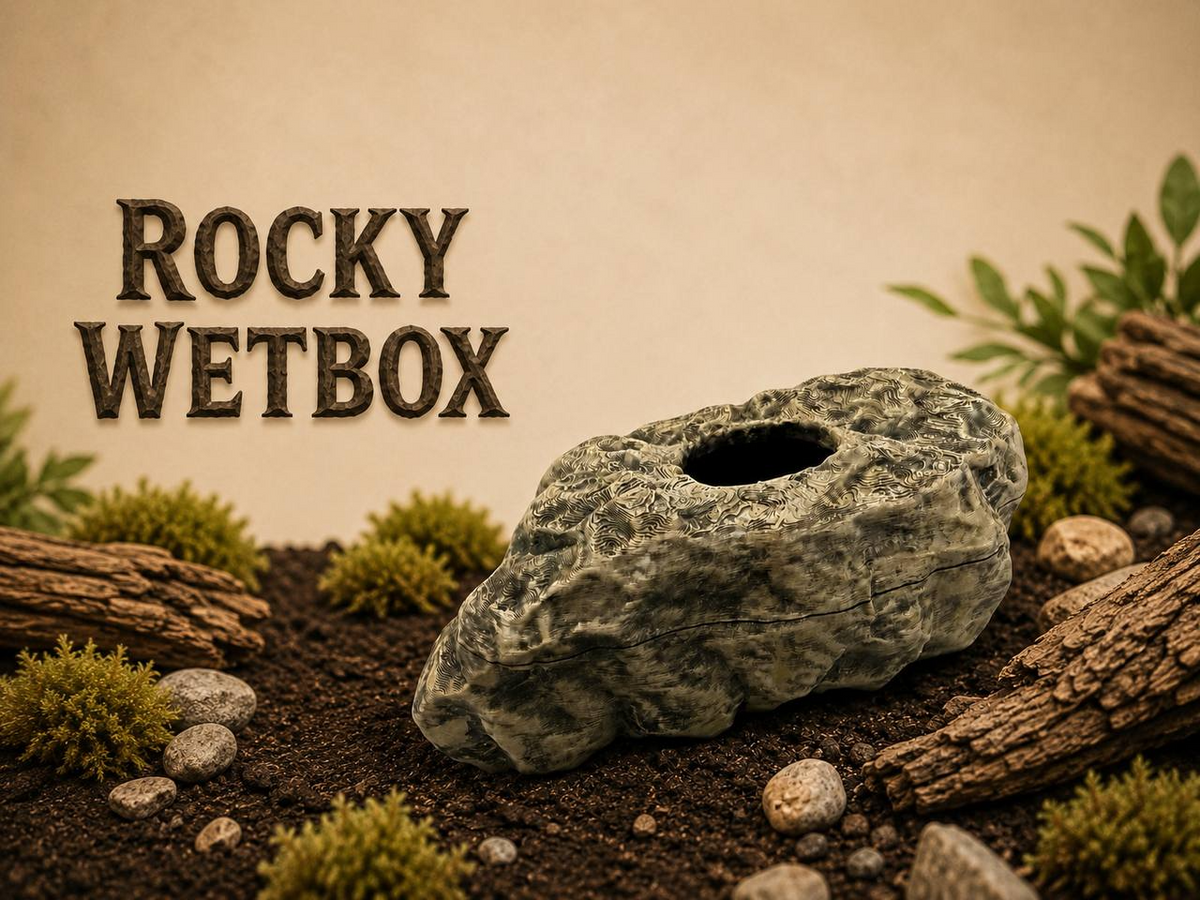 Rocky Wetbox – cover Main image