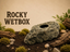 Rocky Wetbox – cover