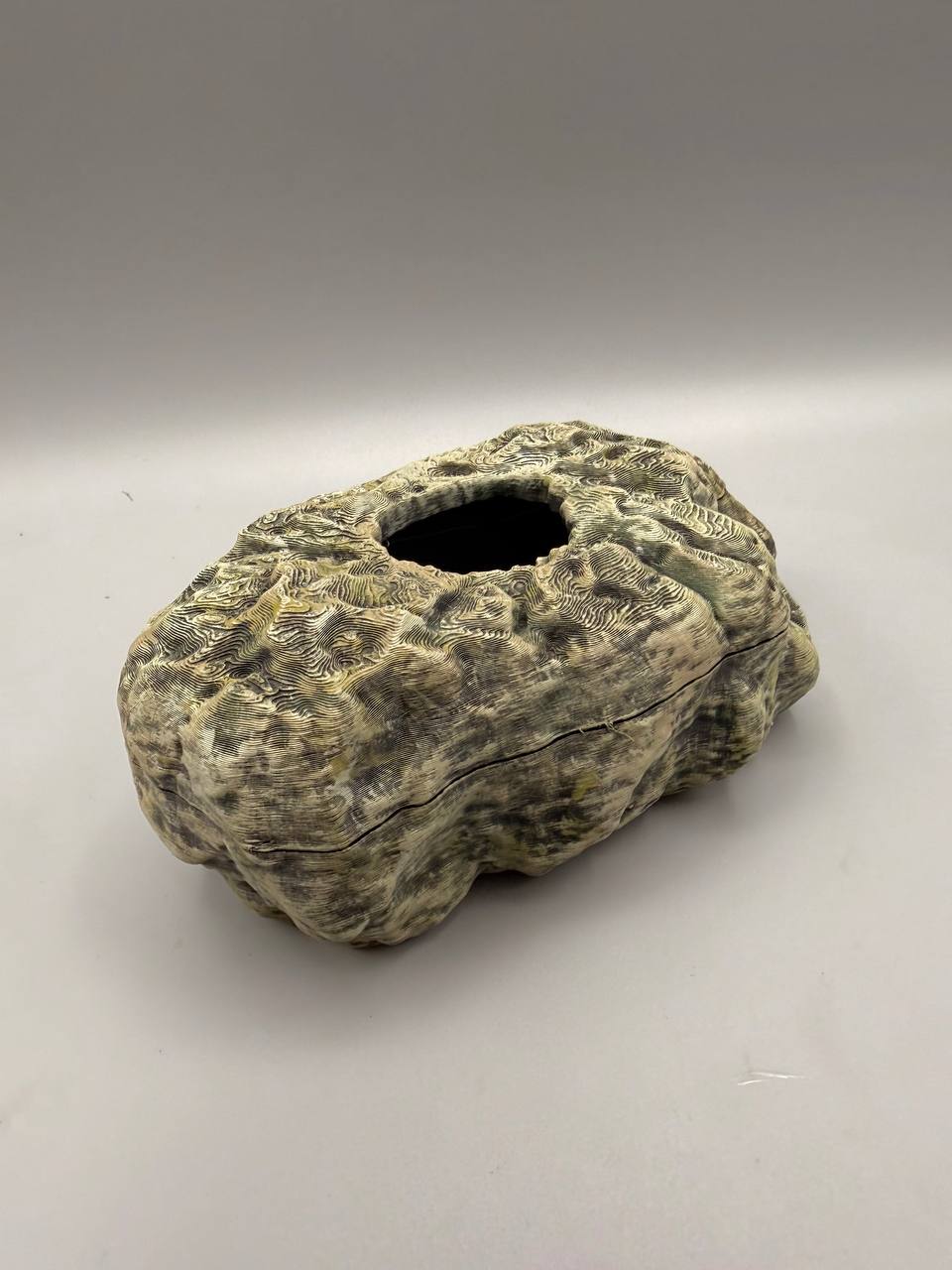 Rocky Wetbox – gallery