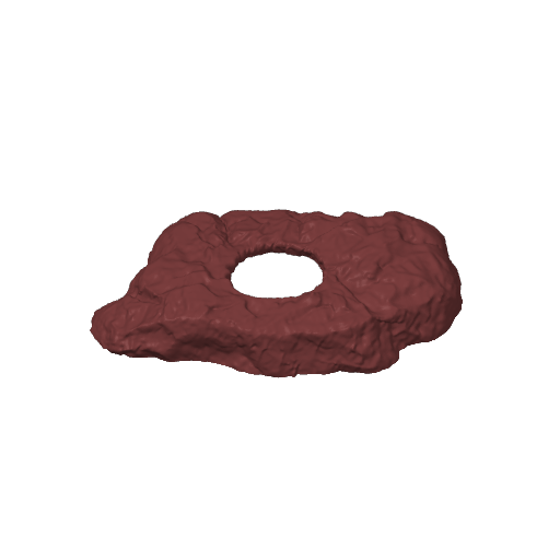 Rocky Wetbox – plate 2
