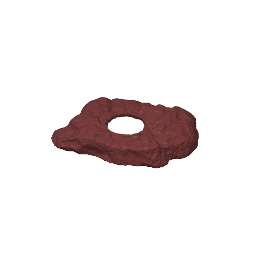 Rocky Wetbox – plate 6