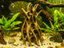 Root Braid — licensed designer photo; supplied unpainted in your chosen colour