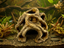 Root Dome — licensed designer view 1; supplied unpainted in your chosen colour