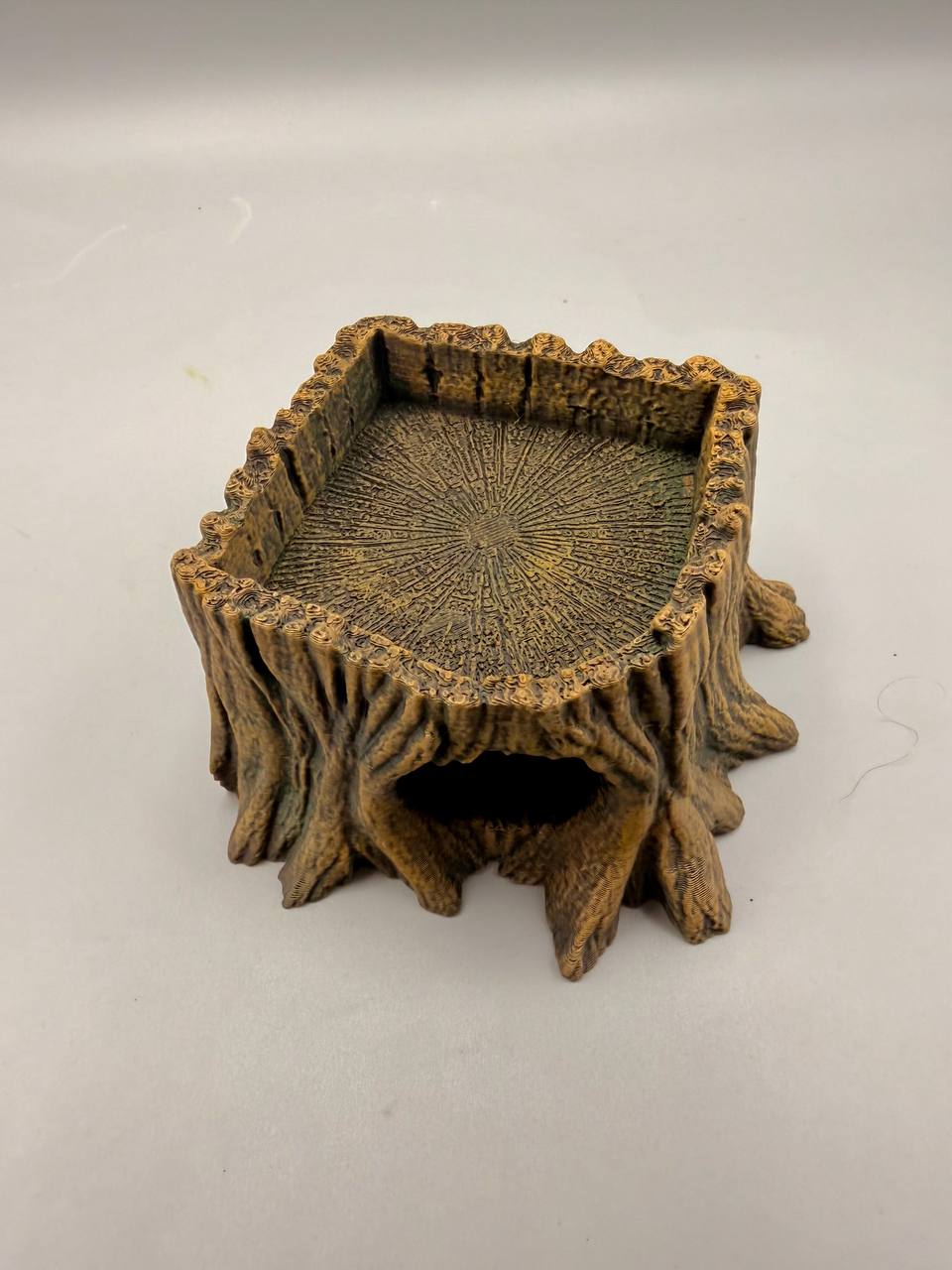 Root Hideout – gallery