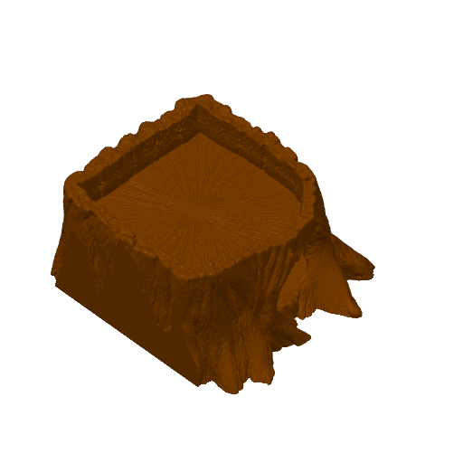Root Hideout – plate 4