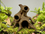Root Hideout — licensed designer view 1; supplied unpainted in your chosen colour