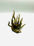 Root for the Wall — original designer photo 3; product ships unpainted