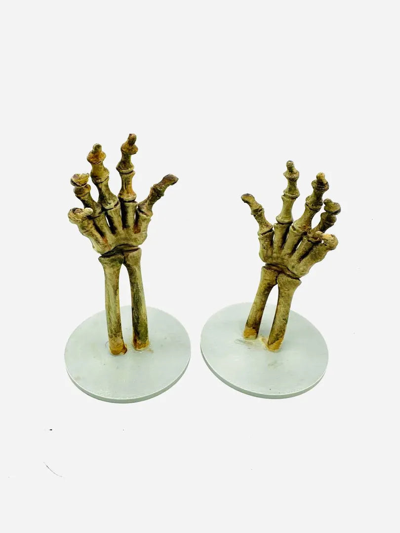 Skeleton Hands — two-hand set view 3