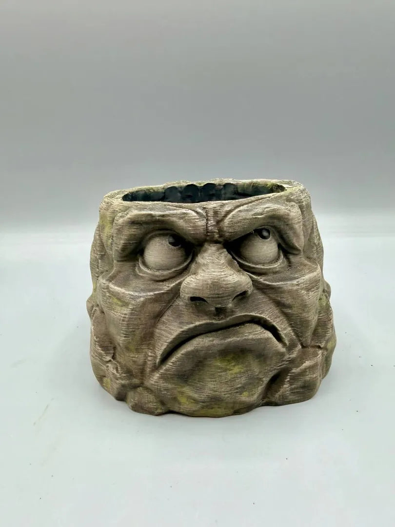 Skeptical Stone Planter | A Side-Eye for Your Succulents Secondary image