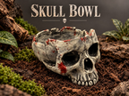 Skull Bowl – cover