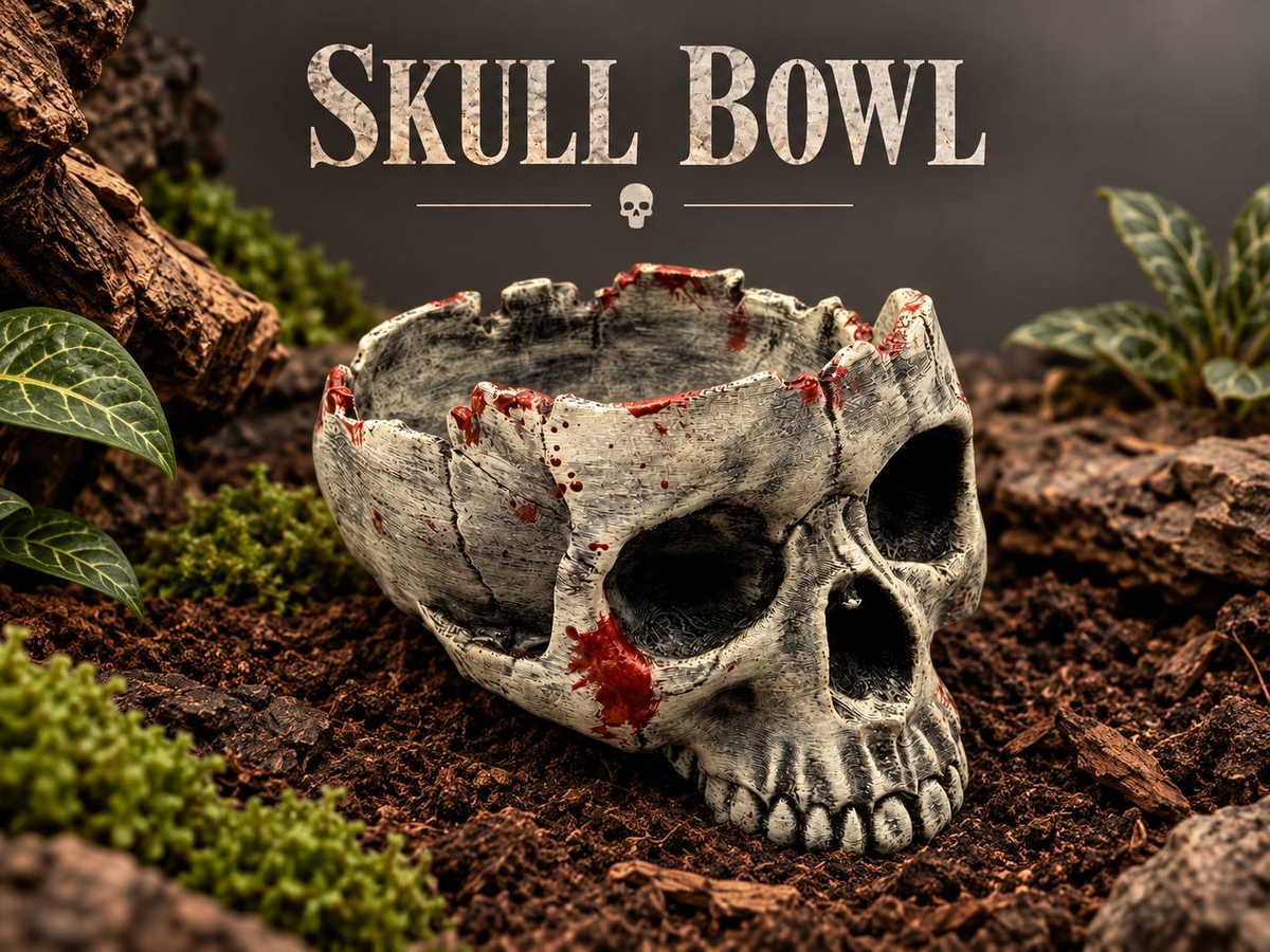 Skull Bowl – cover