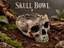 Skull Bowl – cover