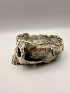 Skull Bowl – gallery