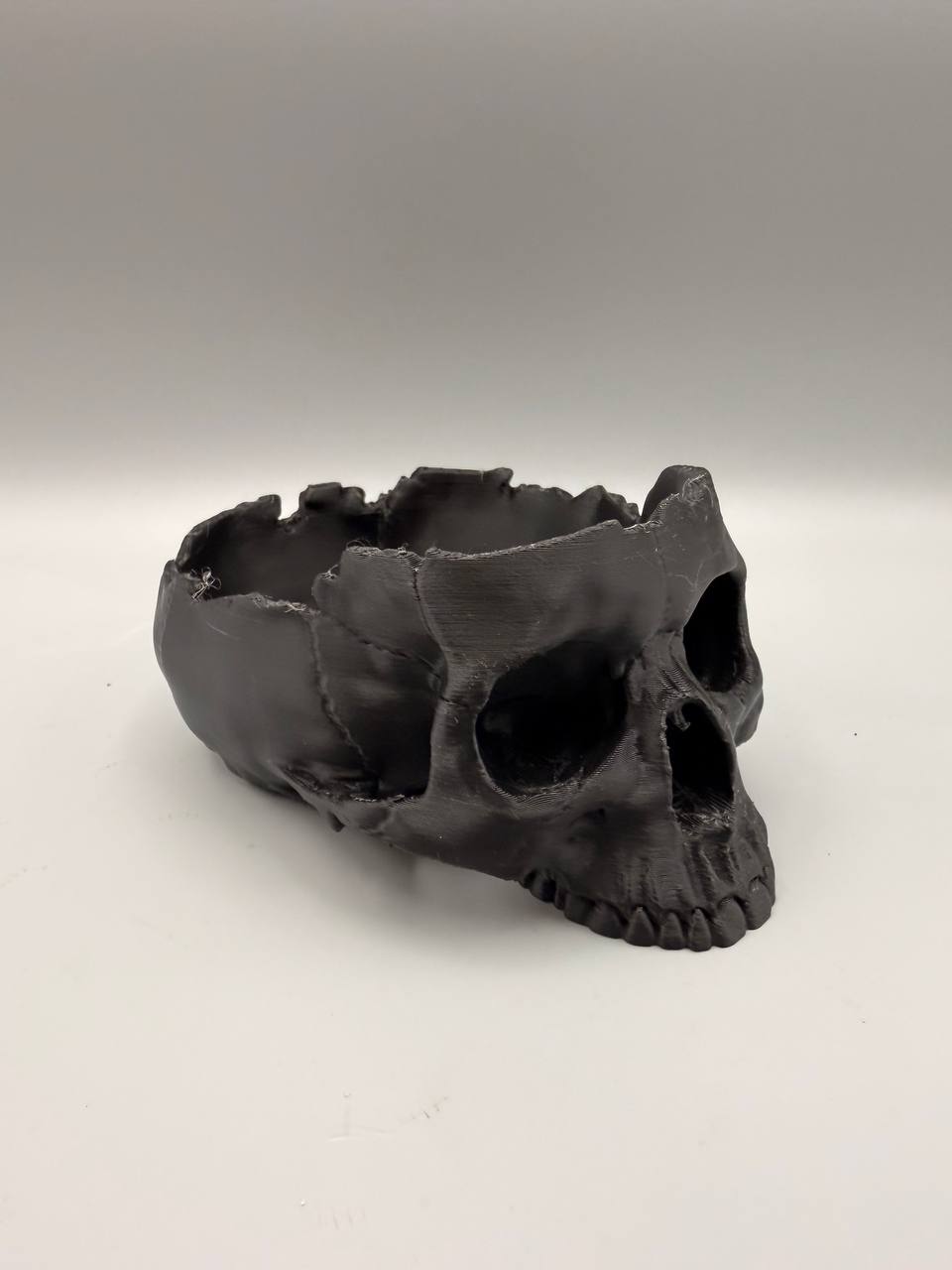 Skull Bowl – gallery