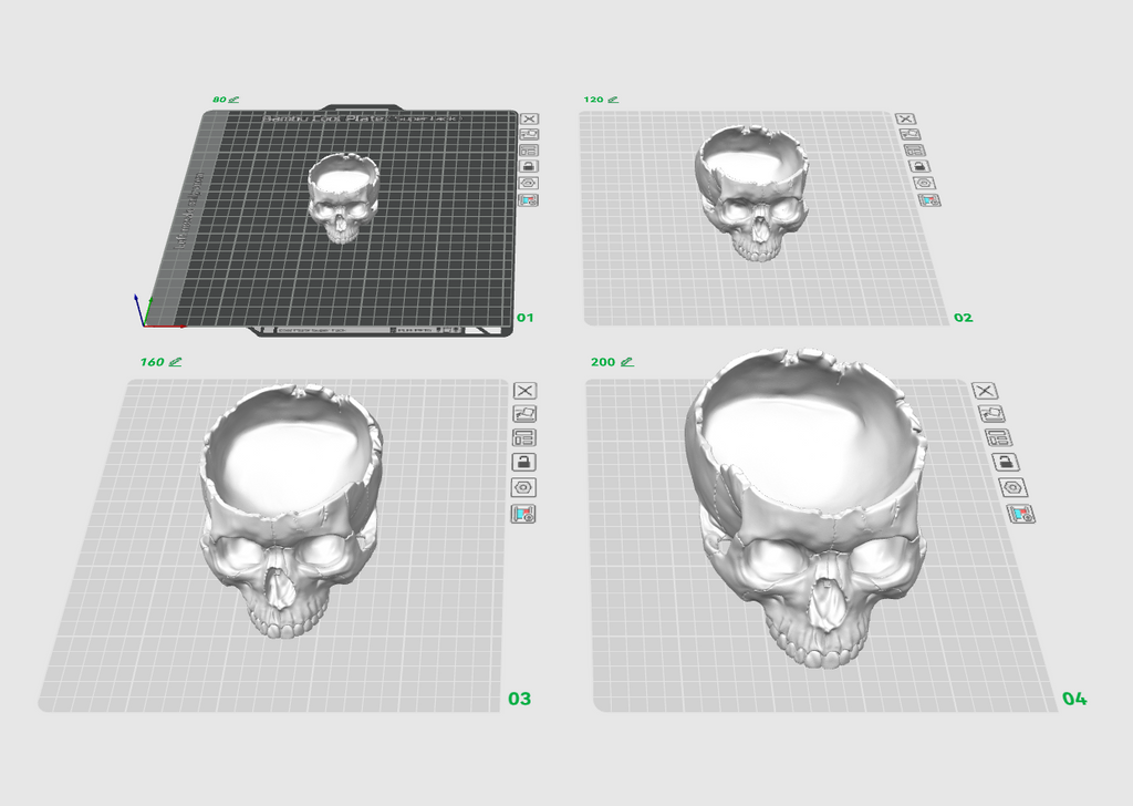 Skull Bowl – profile